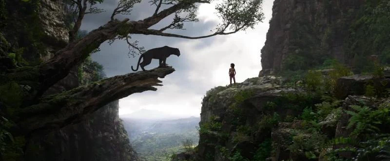 Книга джунглей (2016)